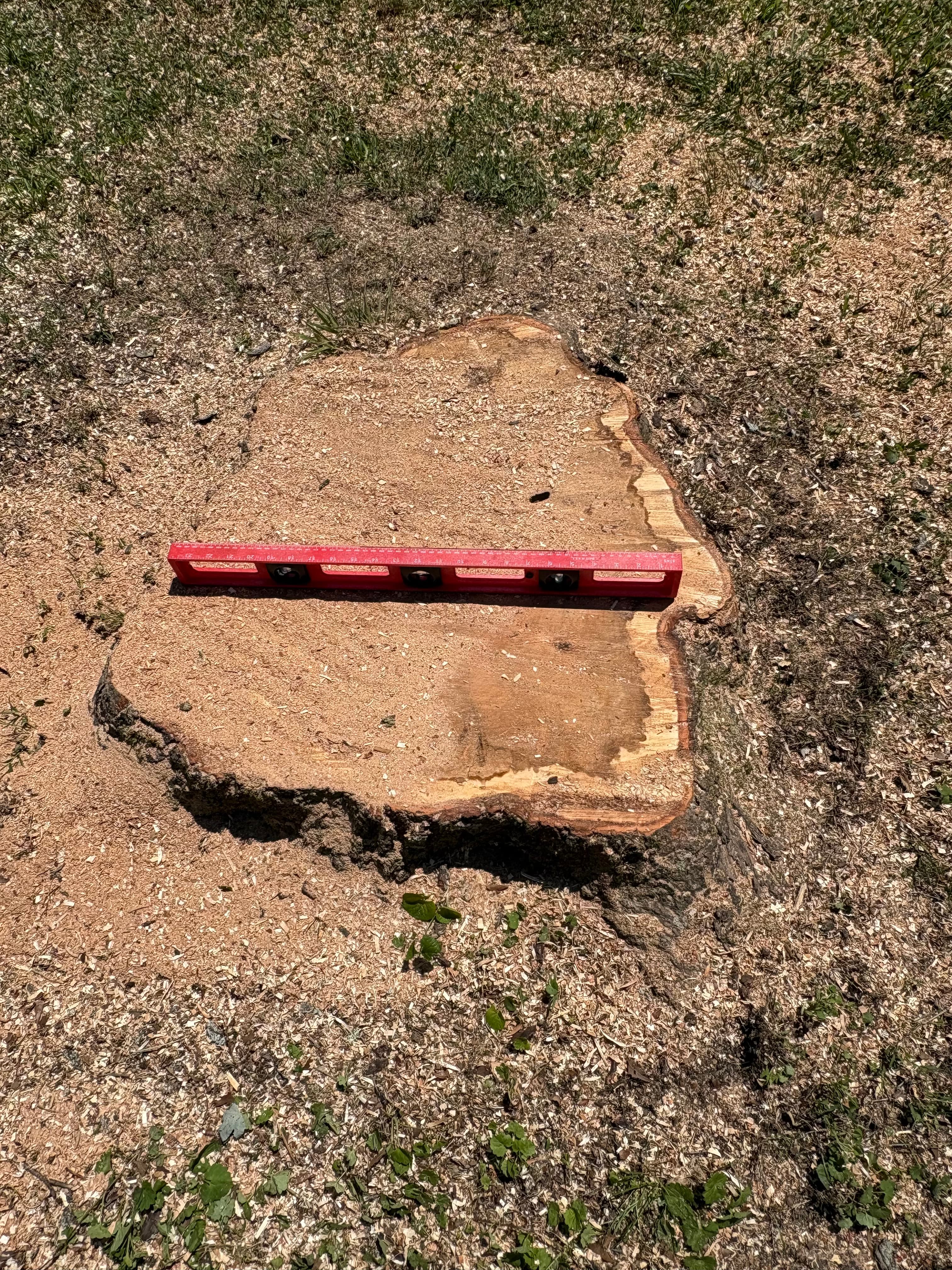 Stump Stewards professional crew grinding tree stumps in Chattanooga, TN with commercial-grade machinery
