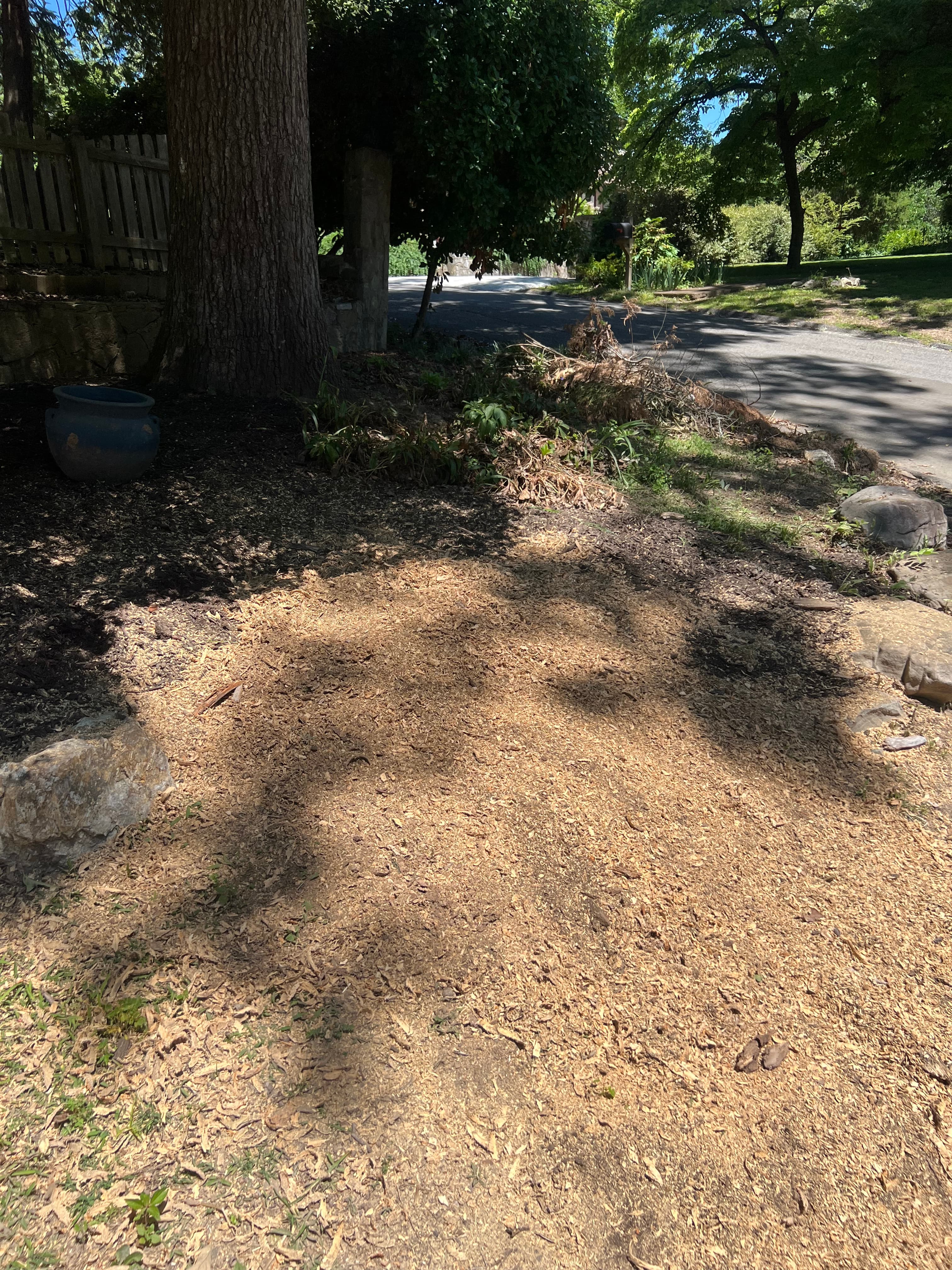 Area fully cleared of roots and stump, ready for landscaping